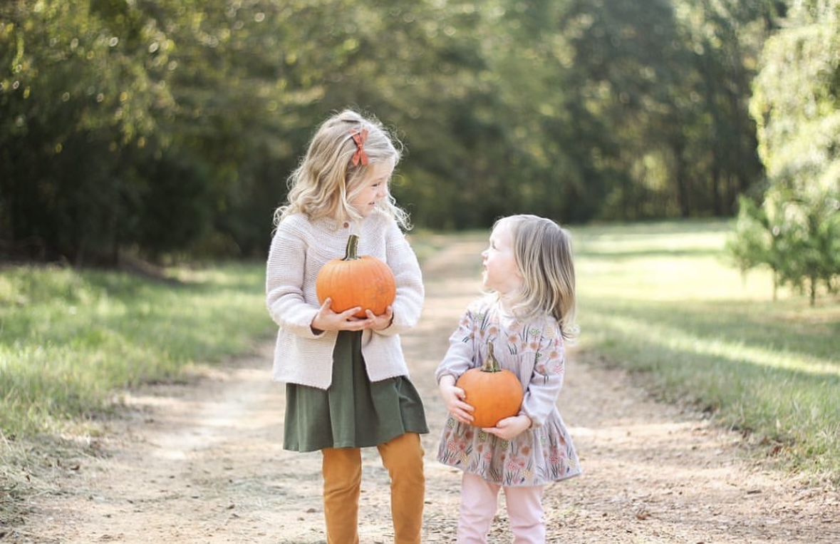 Pick pumpkins in the patch