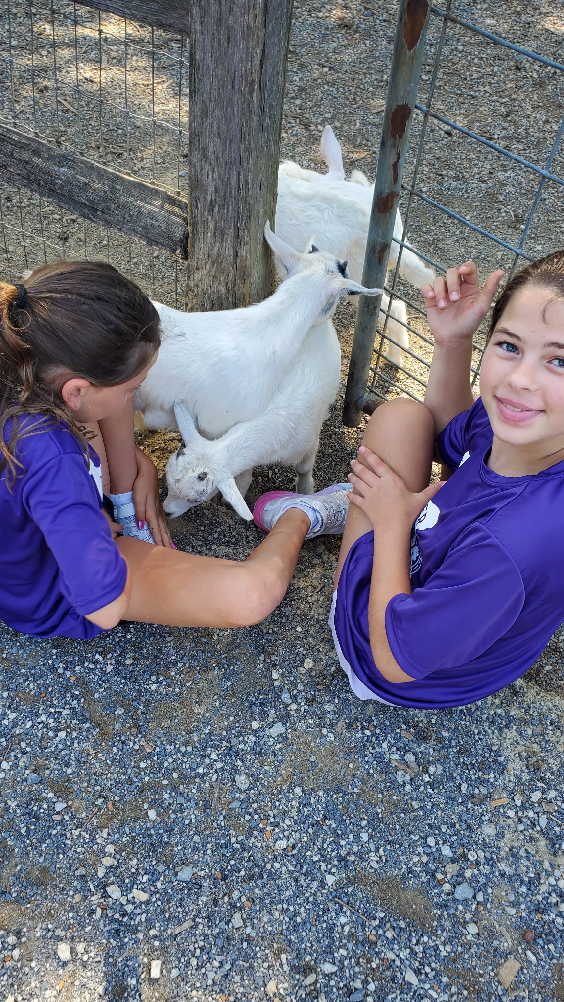 Kids interacting with farm animals during camp