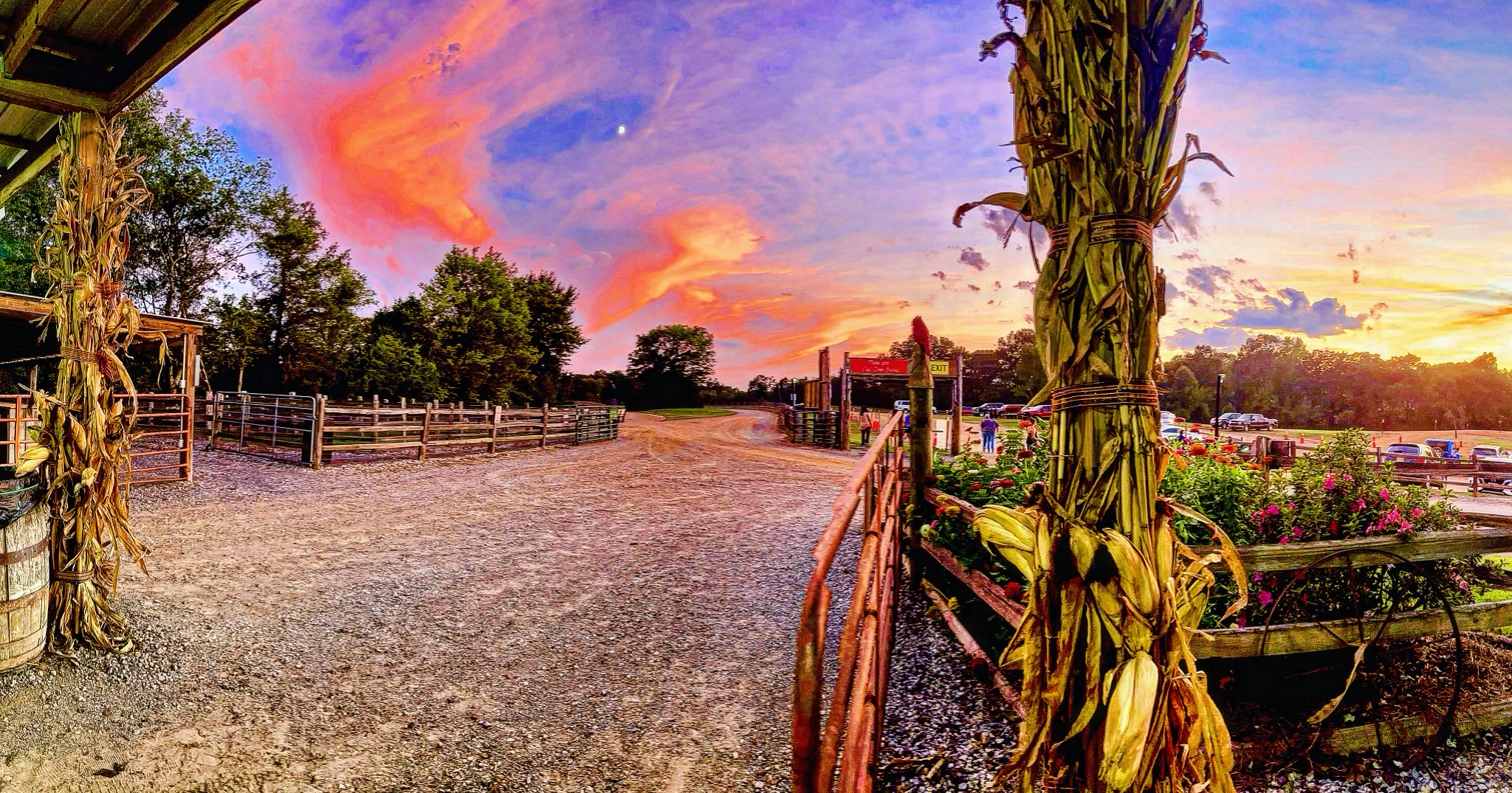 Farm Photo