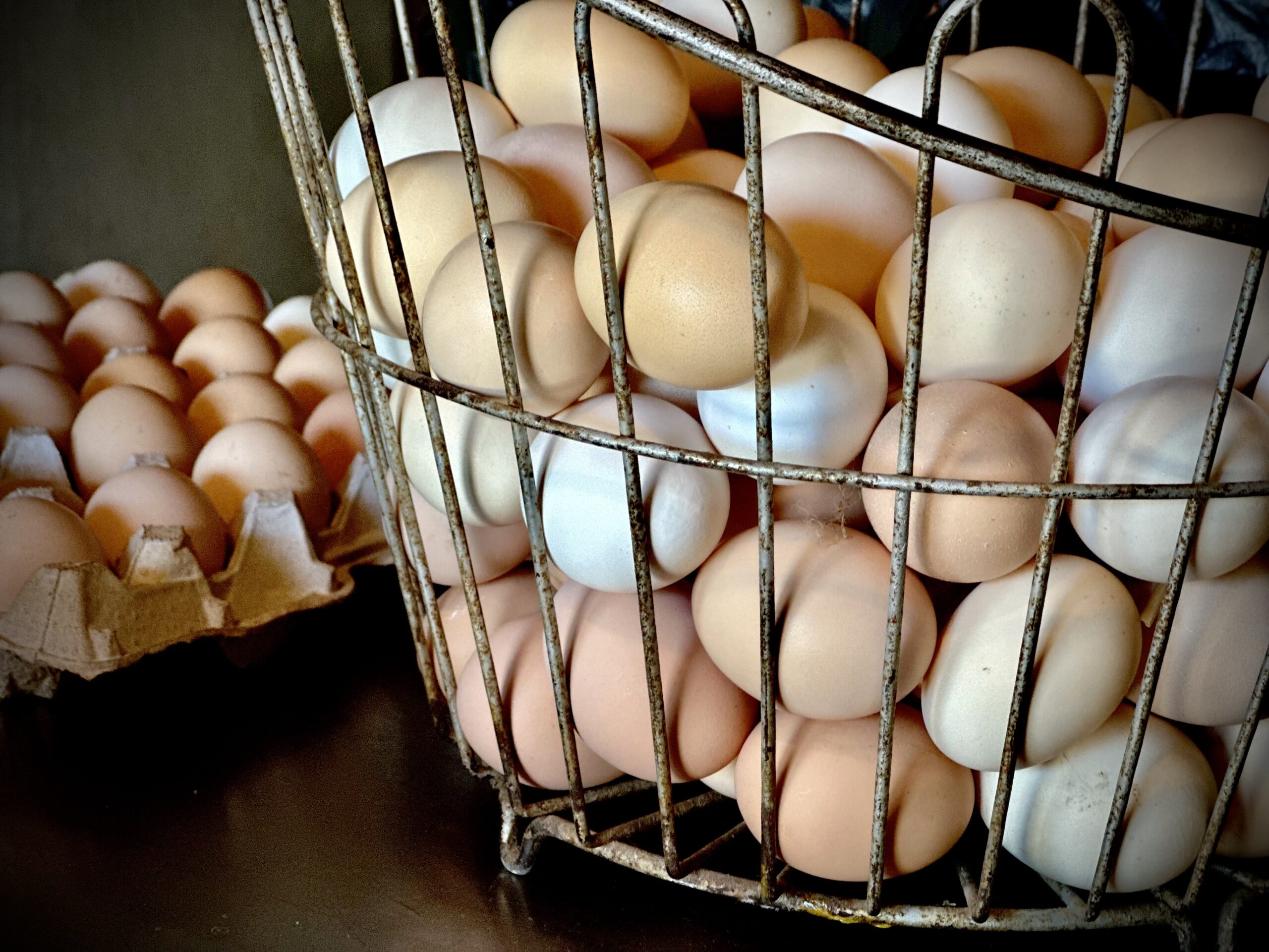 Basket of fresh pasture-raised eggs from Cedar Hill Farm