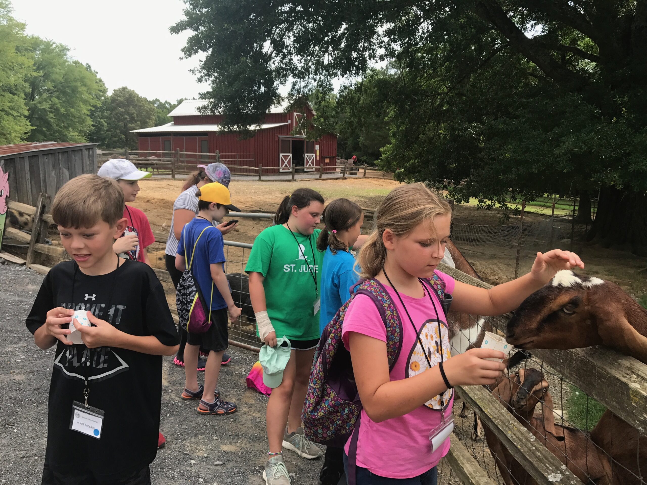 Petting animals and pony rides