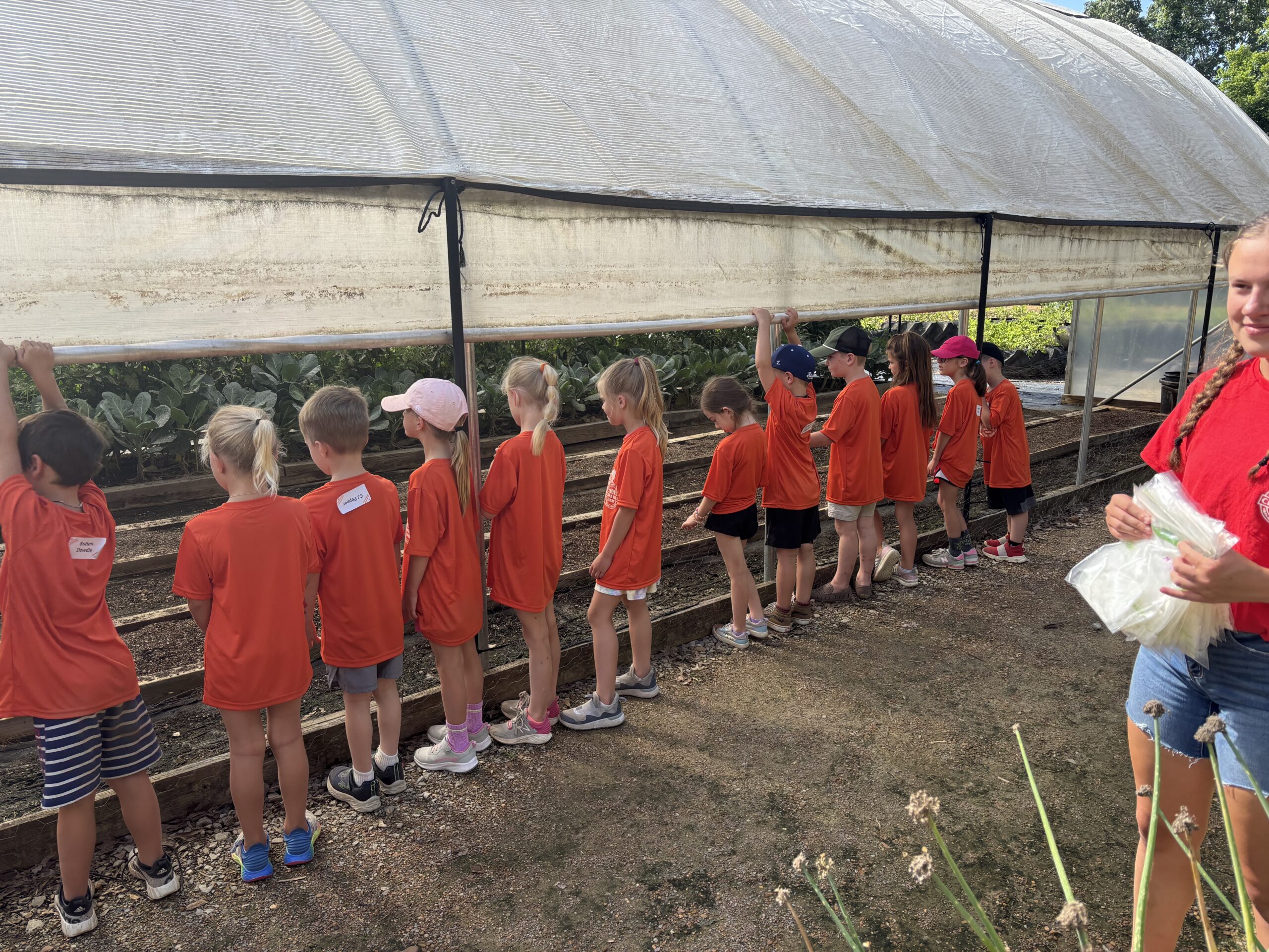 Students exploring the greenhouse during field trip
